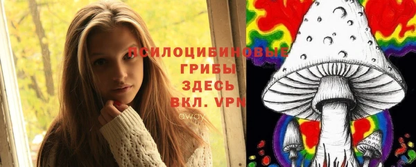 СК Алексеевка