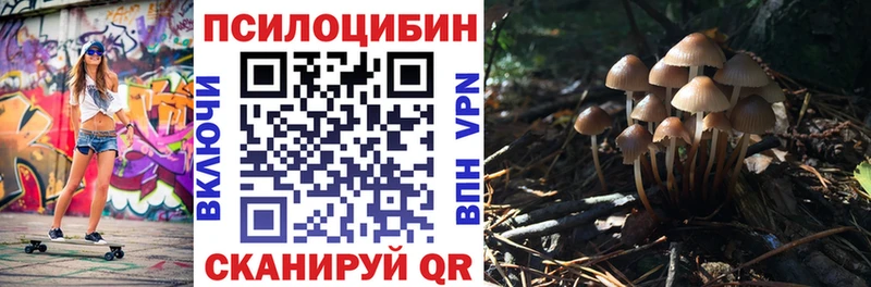 Псилоцибиновые грибы ЛСД Сосновка