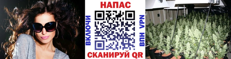 Марихуана марихуана Сосновка